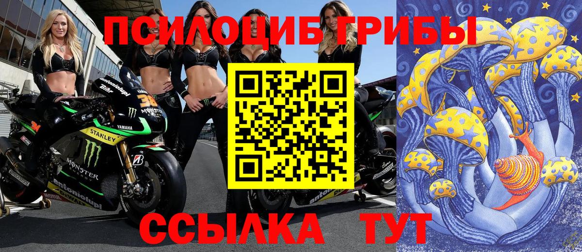 купить  цена  Псилоцибиновые грибы мухоморы  Вход с VPN  Алейск 